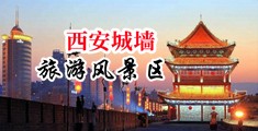 美女渣渣网站中国陕西-西安城墙旅游风景区