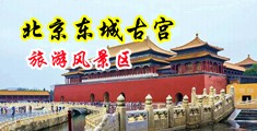 大黑鸡巴插逼舒服动态视频中国北京-东城古宫旅游风景区